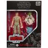 Star Wars Luke Skywalker & Yoda (Jedi training) the Black Series 6" in doos exclusive