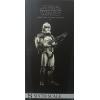 Star Wars Wolfpack Clone Trooper 104th Battalion Sideshow in doos