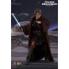 Hot Toys Anakin Skywalker (episode 3 Revenge of the Sith) MMS437 in doos