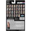 GI JOE Dusty (V3) & Sandstorm backing card