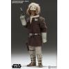 Star Wars Captain Han Solo (Hoth) Sideshow in doos