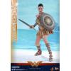 Hot Toys Wonder Woman (trainig armor) MMS424 en doos