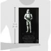 Star Wars Stormtrooper (Rebels) maquette Gentle Giant in doos limited edition