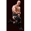 WWE Stone Cold Steve Austin S.H. Figuarts Action Figure Bandai in doos (16 centimeter)