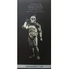 Star Wars Wolfpack Clone Trooper 104th Battalion Sideshow in doos