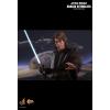 Hot Toys Anakin Skywalker (episode 3 Revenge of the Sith) MMS437 in doos