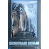 Knightmare Batman (Batman v Superman) DAH-014 Beast Kingdom in doos