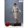 Star Wars Luke Skywalker Premium Format Sideshow in doos