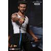 Hot Toys the Wolverine MMS220 in doos