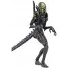 Grid Alien (Alien vs. Predator) in doos Hiya Toys