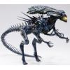 Alien Queen (Aliens) in doos Hiya Toys