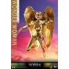 Hot Toys Wonder Woman golden armor (WW84) MMS577 in doos