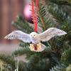 Harry Potter Hedwig hanging ornament in doos Nemesis Now