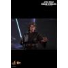 Hot Toys Anakin Skywalker (episode 3 Revenge of the Sith) MMS437 in doos