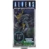 Aliens Xenomorph Warrior (battle damaged exploding head) MOC Neca