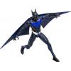 Inque as Batman Beyond DC Multiverse (McFarlane Toys) in doos