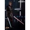 Hot Toys Anakin Skywalker (episode 3 Revenge of the Sith) MMS437 in doos