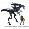 Aliens Alien Queen ultra deluxe in doos Neca