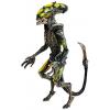 Burster Alien (Aliens Fireteam Elite) in doos Neca