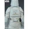 Star Wars Snowtrooper Commander Sideshow in doos