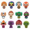 Masters of the Universe Pint Size Heroes (Funko)